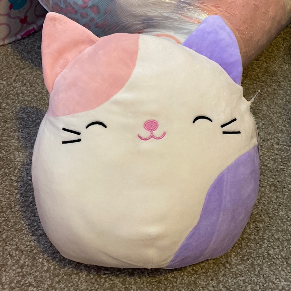 Squishmallow cat name Carlota S11inch